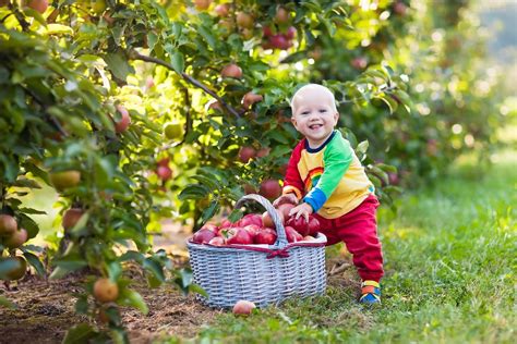 6 Fabulous Outdoor Autumn Activities Your Family Will Fall For! | Activities | 30Seconds Mom