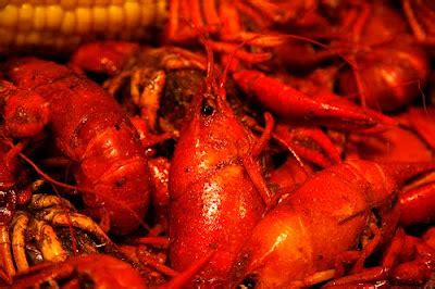 Comfort Food From Louisiana: Louisiana Crawfish Etouffee From Lafittes Landing