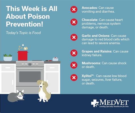 Poison prevention for cats and dogs