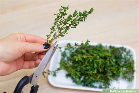 3 Ways to Use Marjoram - wikiHow