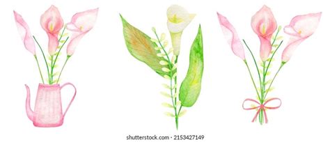 Watercolor Calla Lilies Seamless Patterns Hand Stock Illustration 2153427149 | Shutterstock