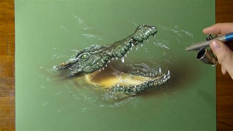 Alligator In Water Drawing at GetDrawings | Free download