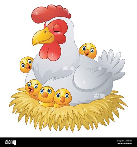 Hen sitting in nest Cut Out Stock Images & Pictures - Alamy