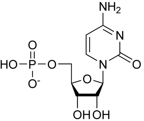 Cytidine Monophosphate | SIELC