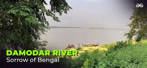 River Damodar is called sorrow of Bengal. Explain why? - GeeksforGeeks