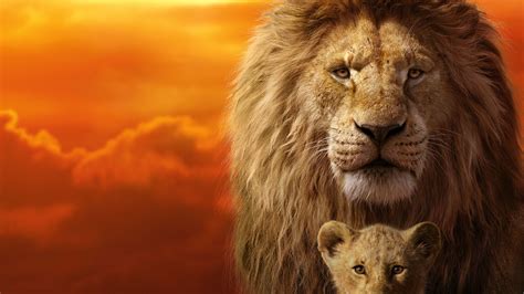 Lion King 4K Wallpapers - Top Free Lion King 4K Backgrounds ...