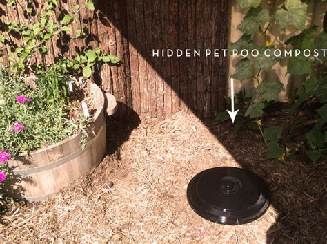 DIY Pet Poo Composter - PetHaus