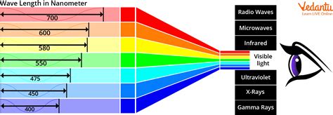 Light Spectrum | Experiment on Light Spectrum in the Classroom