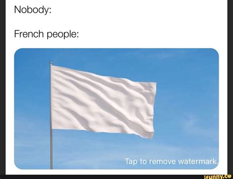 Nobody: French people: Tap to remove watermark. - ) | French people, Memes, Funny memes