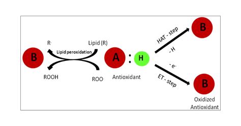 Antioxidant Activity/Capacity Measurement. 2. Hydrogen Atom Transfer (HAT)-Based, Mixed-Mode ...