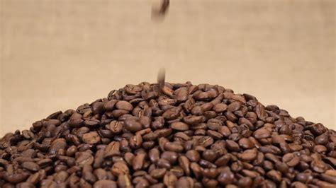 Coffee beans falling at slow motion 15505391 Stock Video at Vecteezy