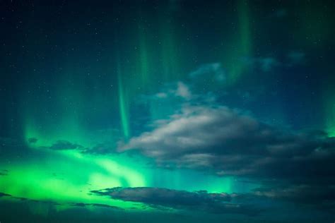 From Reykjavik: Northern Lights Tour | GetYourGuide