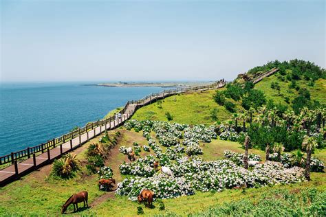 Jeju Island, South Korea: World’s Greatest Places 2023 | TIME