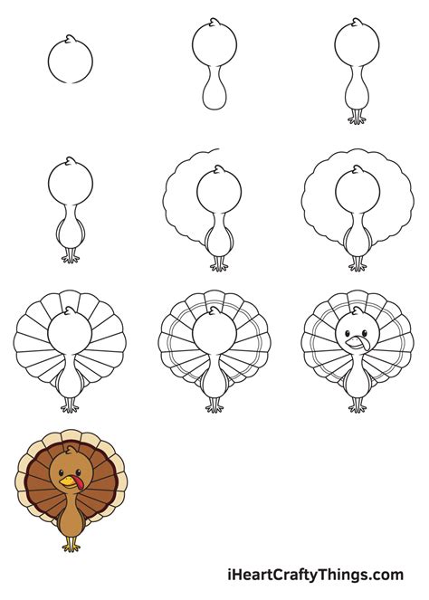 Turkey Drawing - How To Draw A Turkey Step By Step