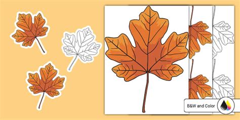 Maple Leaf Cutouts (teacher made) - Twinkl