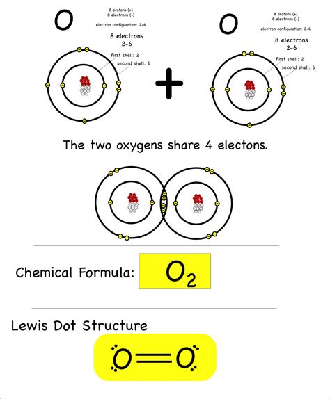 Covalent bonding in an oxygen molecule.