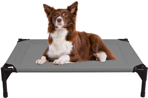 The 5 Best Elevated Dog Beds for Large Breeds - DogVills