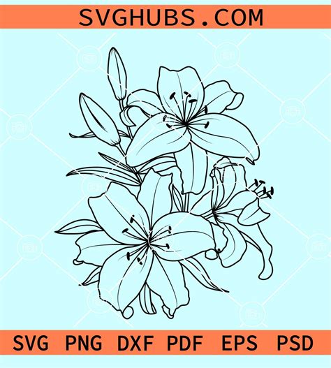 Lily flowers svg, lily svg, lily flower clipart svg, Flower Clipart svg, Hand Drawn Lily Svg