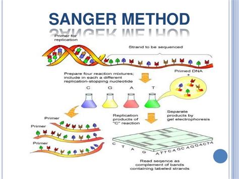 Sanger Technique