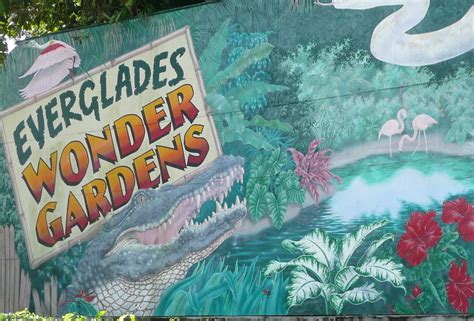 Florida Suncoast Birding: Flamingos - Everglades Wonder Gardens