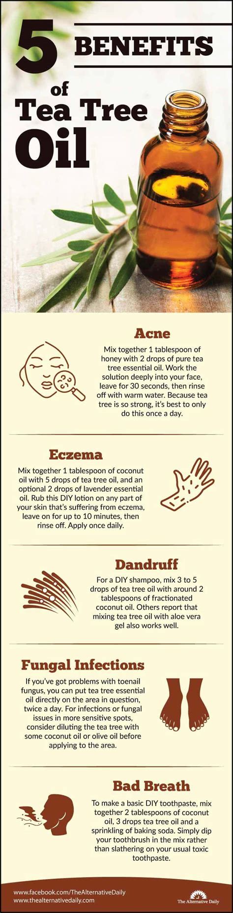 5 Must-Know Benefits Of Tea Tree Oil (And How To Use It)