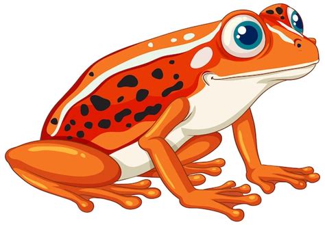 Premium Vector | Orange Frog Cartoon