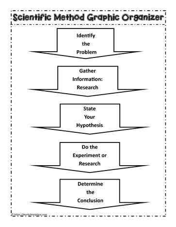 Scientific Method Graphic Organizer Worksheets