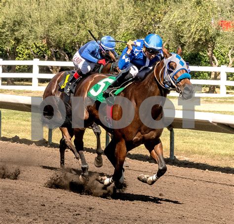 BIG FRESNO FAIR 2023 - vassarphotography