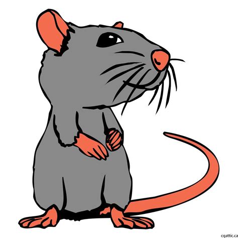 Rat Cartoon Drawing in 4 Steps With Photoshop | Cartoon drawings, Cartoon drawings disney ...