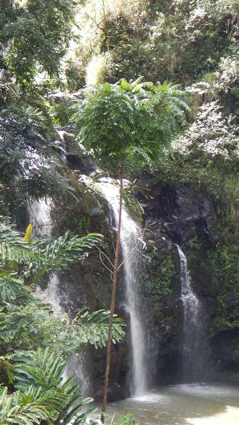 waterfalls on the road to Hana | Trip to maui, Waterfall, Road to hana