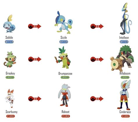 Pokemon Images: Pokemon Gen 8 Starter Evolution Lines