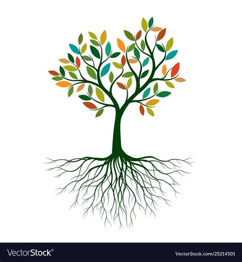 Color tree with roots Royalty Free Vector Image | Tree roots, Tree logo design, Roots logo