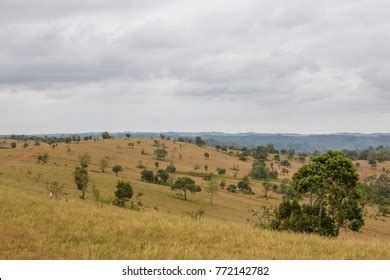 395 Mondulkiri Stock Photos, Images & Photography | Shutterstock