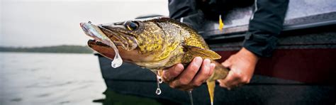 Walleye Fishing Tips & Gear | Bass Pro Shops