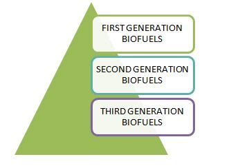 Biofuel: Types, Uses & Examples – StudiousGuy