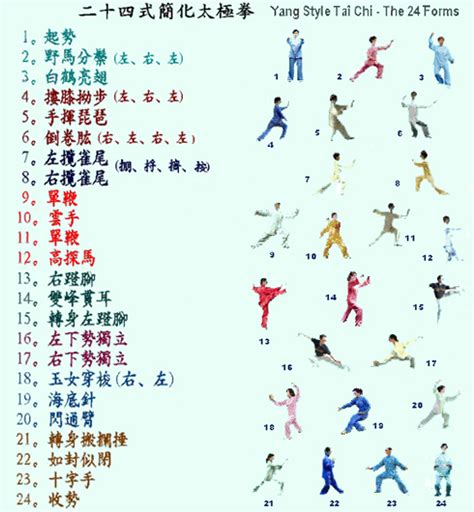 Tai Chi 24 Form