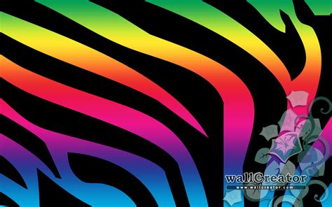 🔥 [50+] Rainbow Zebra Wallpapers | WallpaperSafari