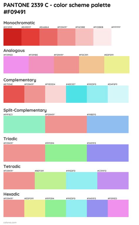 PANTONE 2339 C color palettes - colorxs.com