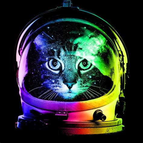 Cat Astronaut Wallpapers - Top Free Cat Astronaut Backgrounds - WallpaperAccess