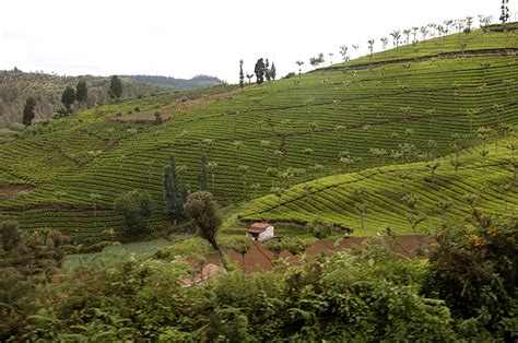 Doddabetta resort ooty