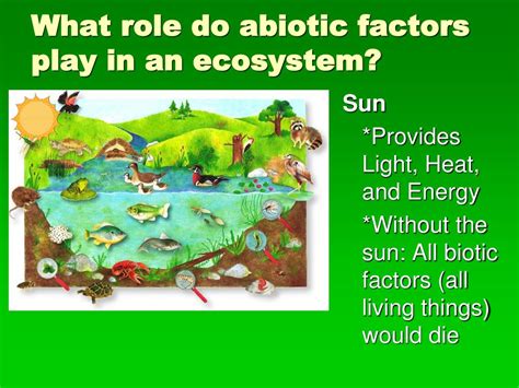 PPT - Page 156 March 4, 2013 Focus : Abiotic and Biotic Factors, Photosynthesis PowerPoint ...