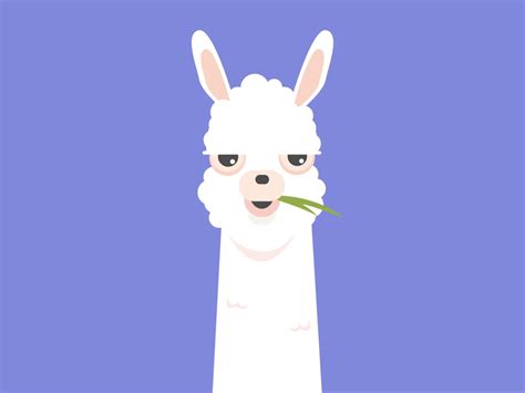 Llama Drama by Chase Kettl on Dribbble