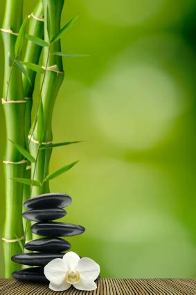 bambu_feng shui – EQUILIBRIO INTERIOR