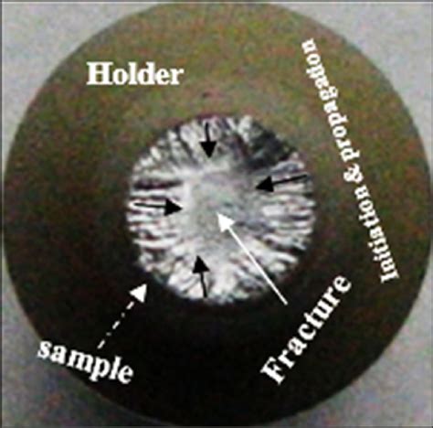 Fracture of fatigue-tested samples in the present work. | Download ...