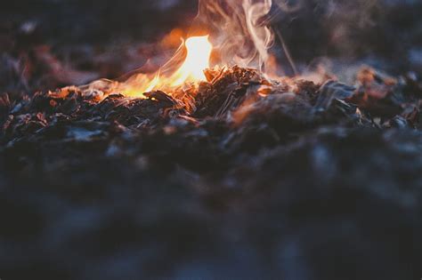 Royalty-Free photo: Shallow focus photography of fire | PickPik