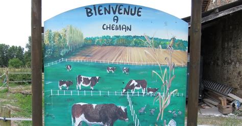 An Aggie Abroad: Maine Anjou Cattle Farm