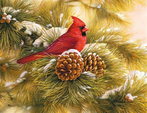 December Dawn Cardinal Christmas Cards , 1004666 | Lang | Bird art ...