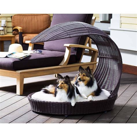 12 Beautiful Dog Beds That Will Instantly Enhance Your Home's Decor - BarkPost