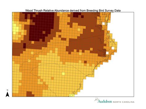 Mapping Wood Thrush Habitat for Conservation | Audubon North Carolina