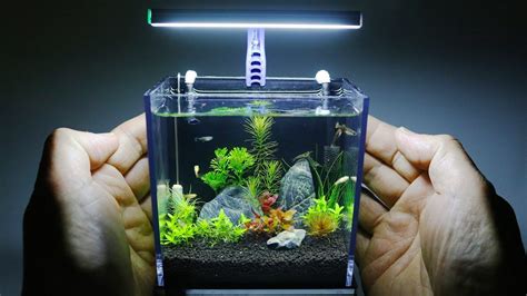 Best Nano Aquariums: 5 Nano Tanks Reviews 2019